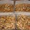 Fresh marure fat ginger