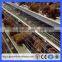 A type poultry cages for hens with egg collection machine steel layer cages(Guangzhou Factory)