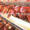New Design large scale 3 layers 4 cells hen cage with long life
