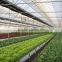 Greenhouse for Agriculture Hydroponics