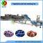 New developed vortex air bubble ozone fruit and vegetable washing production line