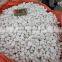China Hote Sale White Pebble for Garden Cheap