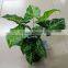 Indoor Mini-artificial Plants Hotsale Bonsai Plants Ornamental Green Plants