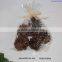 nature pinecones with or without glitter