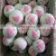 2017 best 100% wool ball cat toy in stock