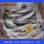 Seafood Frozen Pacific Mackerel Fish
