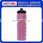 750ML Capacity With Leak Proof Push Pull Lid Eco-friendly Reusable PE Portable Outdoor Sport BPA Free Water Bottle