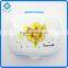 Cheap Plastic Soap Dishes Flowers Soap Dishes