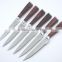 Stainless Steel 6PCS Steak Knife Set