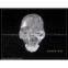 two faces clear crystal skulls