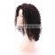 HIgh Quality Wholesale Price Customized Curly Brazilian Hair Wig