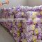Anti insect disposable Frog oyster mesh bag for date and bean
