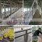 China Factory Supply Plastic Flat Mesh for Garden Court Protection low price