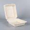 Biodegradable 8*8 Take away Sugarcane container