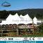  freeform shape roof top tent, cheap roof top tent for sale