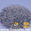 Bentonite clay pet litter