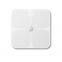 Strength factory manufacturers smart Bluetooth body fat scale household weight scale custom logo brand health electronic body scale