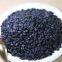 High-Quality Apricot Shell Activated Carbon | High