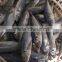Mid size Sea Frozen Horse Mackerel