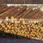RUSSIAN Timber Log / Sawlogs /Wood round logs / lumber /PINE / SPRUCE / LARCH / BIRCH