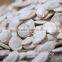 Wholesale Pumpkin Seeds, Pumpkin Kernels, Hulled Pumpkin Seeds Best Price