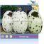 Simulation robtic hatching dinosaur egg