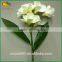 Artificial Real Touch Plumeria Flowers for Decoration