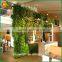 Artificial Green Wall Plants for Home Decoration