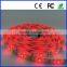 fita led rgb led 5050 30leds/m nonwaterproof IP20 12v or 24v dc 5meter longth red green blue white yellow color bande led