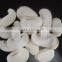 Supply Frozen dried mushroom slice with good quality for sale