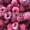 Supply High Quality IQF Frozen raspberry whole