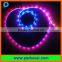 tls3001 pixel rgb smd5050 LED multi-color flexible led strip lights