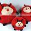 Embroidered design car pillows cushions