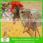 Manual Small Maize Thresher