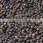 Indian black pepper seed 500gl/550gl