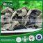 best price black fungus frozen black fungus