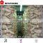 Frozen Mushroom Iqf Pleurotus Eryngii 2016 Crop Best Price