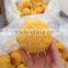 Dried white fungus in natural color for sale