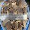 Pleurotus Mushrooms packed 50kg 5-8cm preserve for sale