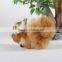 Durable OEM cute mini squirrel plush toys for kids