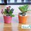 hydroponic bright color small plastic flower pot for home garden interior christmas decoration