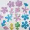 15091225 Factory supply glitter star sticker /decorative EVA sticker for kids