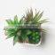 Artificial Plastic Mini Succulents Plants for Home Decoration