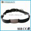 dog collar, gps dog collar, pet collar