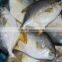 Pangasius fillet Gold pomfret
