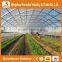 Heracles trade saaurance greenhouse plastic cover -uv treated plastic film for greenhouse agricultural