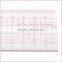 Kearing Garment Rulers 5*50cm Sandwich Printing with Scale Fashion Design Rulers# 8004