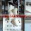 New design food grade ravioli machine