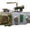 CPES6PB110D120RS3162 Запчасти для топливного насоса впрыска с номером детали CRSV350...750PB0C194R