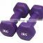 Wholesale Cheap Colorful  Neoprene Hex Dumbbells Weights/Kids Dumbbell  Set